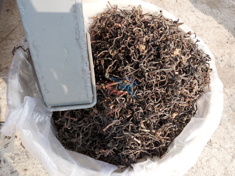 黃花菜振動(dòng)篩